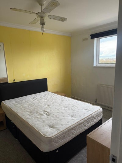 Room Available  Main Photo