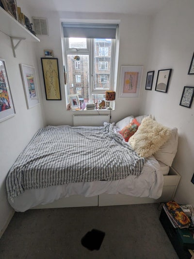1 lovely room available near broadway market  Main Photo
