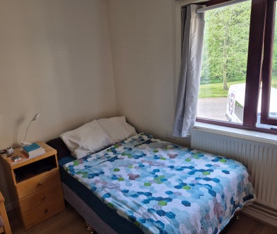 Ensuite room to rent Main Photo