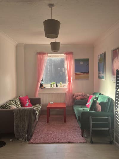 Student house share!!  Main Photo