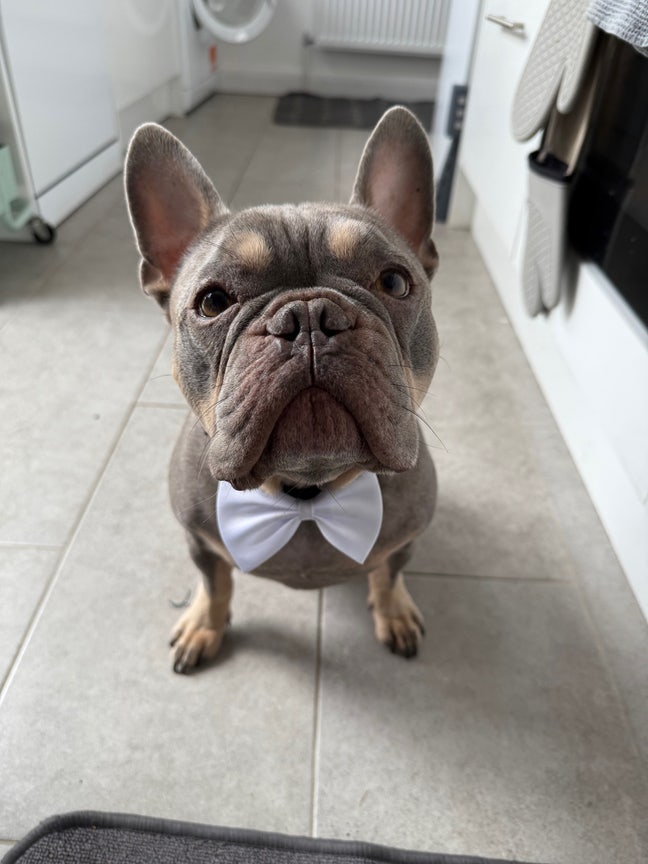 Bright Double Room to Rent – Dog Lovers Welcome 🐾 Main Photo