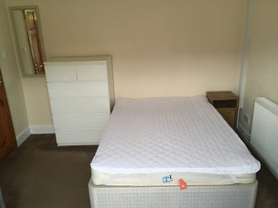 Two rooms in a house with cats! Main Photo