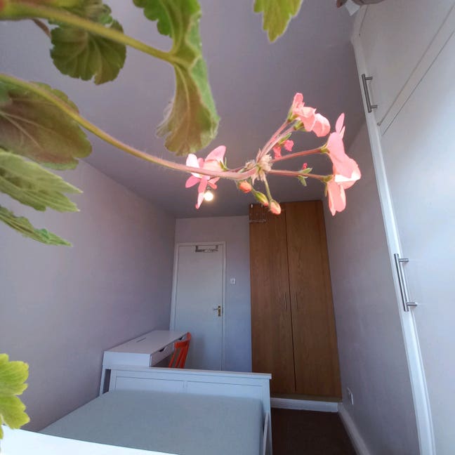 Clean room.  Main Photo