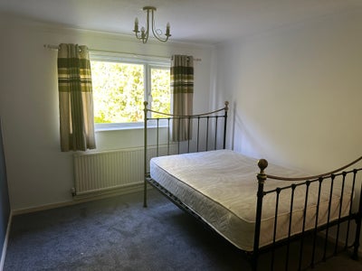 Double room for single occupancy  Main Photo