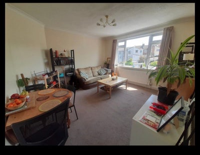 Room Available in Bedminster three-bed flat Main Photo