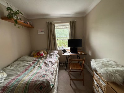 Cozy Room in Canada Water Main Photo