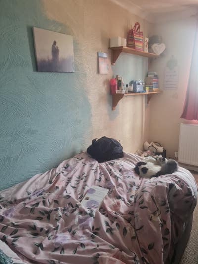 Cosy room  Main Photo