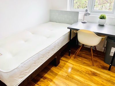 🏡 single room in Friendly household  Main Photo