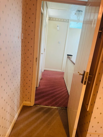 Single room Available for Rent Main Photo