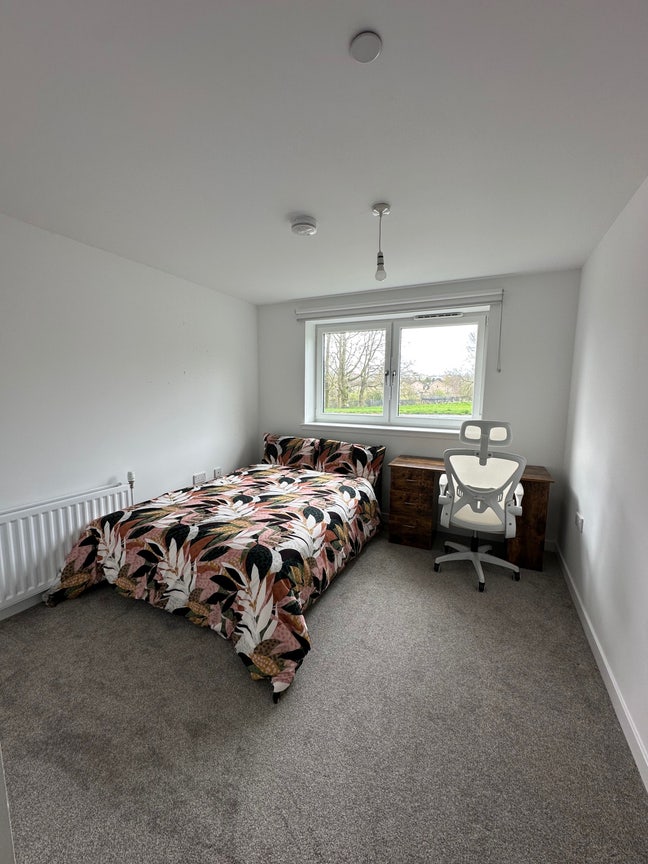 Spacious Sun-Filled Room for Rent (Inc. All bills) Main Photo