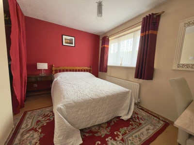 Attractive comfortable Room for Rent Main Photo