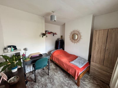 Single Room in Great Location Main Photo