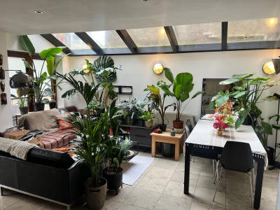 Double Room in Beaut House on Leafy Brixton Street Main Photo