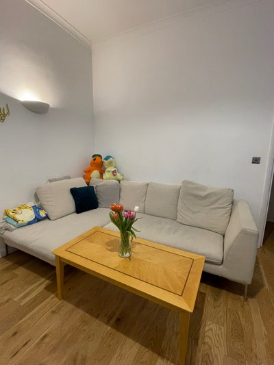 Urgent! A room in Shepherd’s Bush available NOW! Main Photo