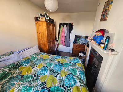 Short Term  Main Photo