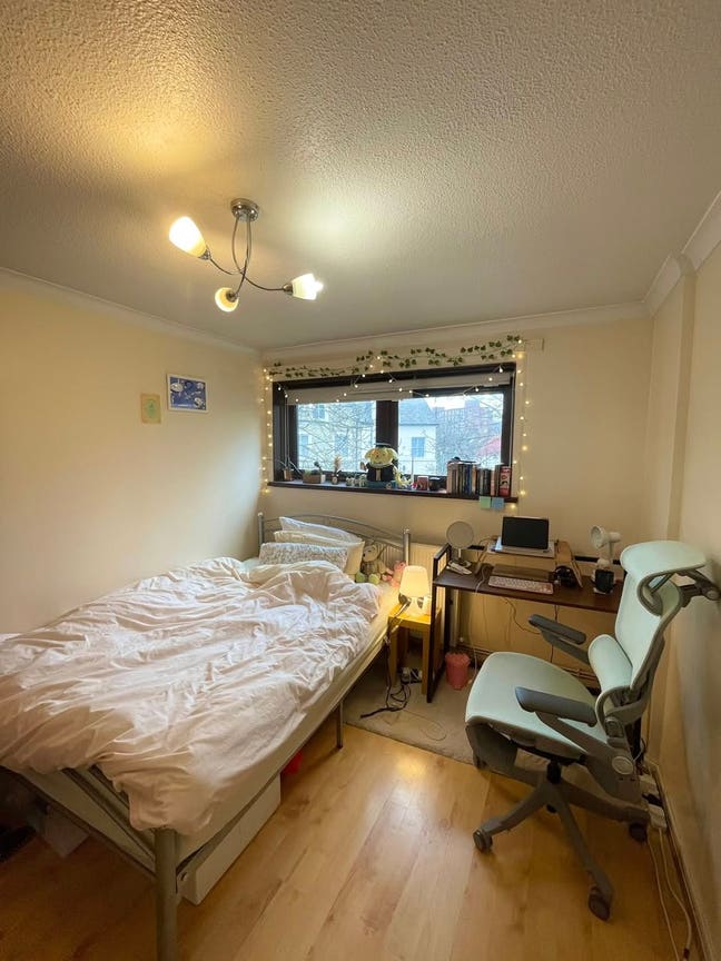 Double room in shared flat with girls  Main Photo