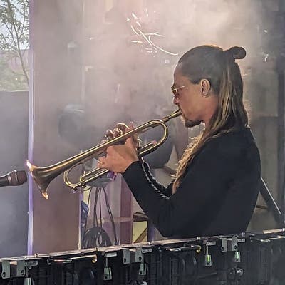 Proffesional musician looking for stop-gap room Main Photo