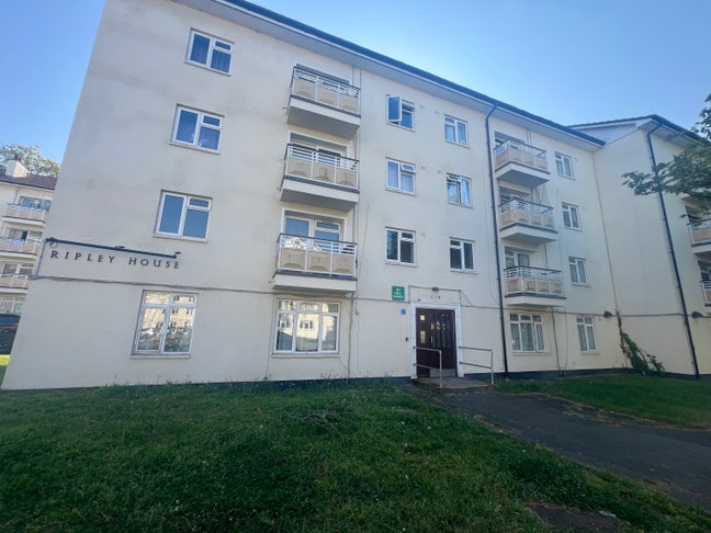 Amazing Room in Kingston near Hill Campus Main Photo