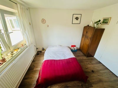 Bright double room in cozy flat - Mile End E3 Main Photo