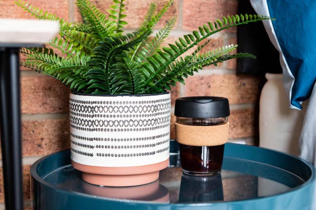  🍁 Start Fresh This Spring - Welcome Home 🍁 Main Photo