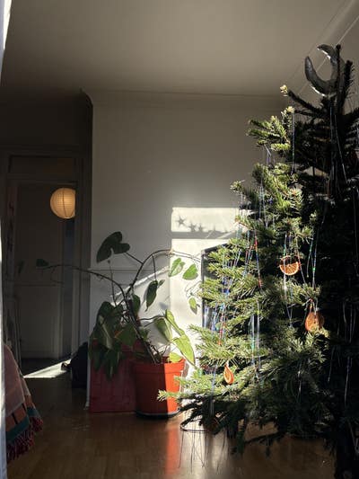 Cozy Room in Highbury / Lower Holloway Main Photo