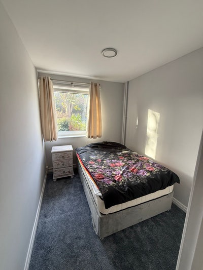 Double Room in Lovely Hove Flat (mid July)  Main Photo