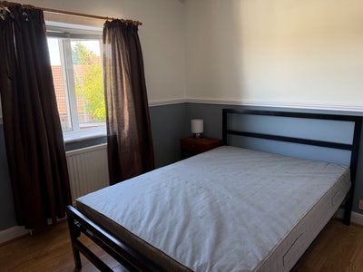 HMO @ 17 Shirley Ave Main Photo