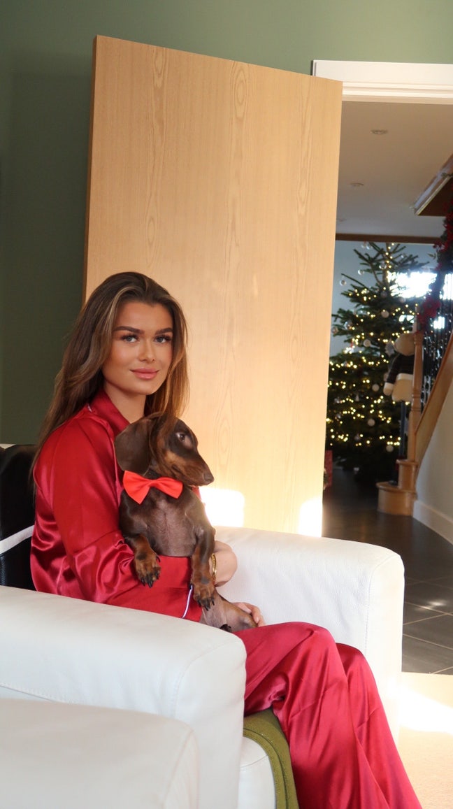 Double room wanted - Professional + sausage dog  Main Photo