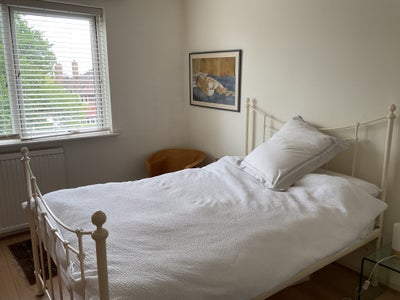 Lovely Sunny Room in 1 Bed Flat Main Photo