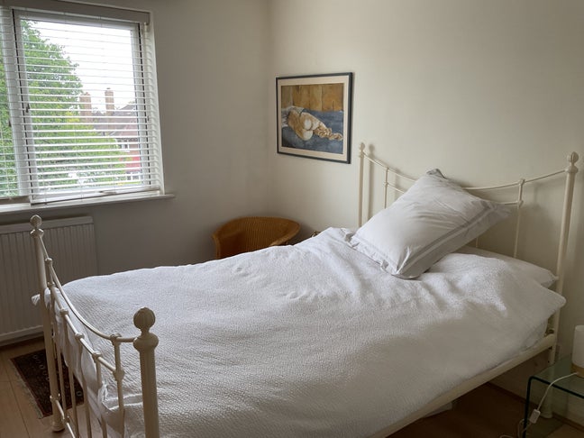 Lovely Sunny Room in 1 Bed Flat Main Photo