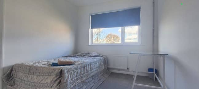 Available May Double Room in Lovely Flat  Main Photo
