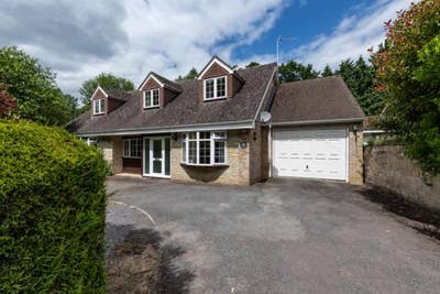 One double ensuite room for single professionals Main Photo