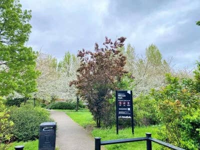 Quiet Place -Spacious Room Near Canary Wharf/E14 Main Photo