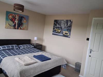Large double room  Main Photo
