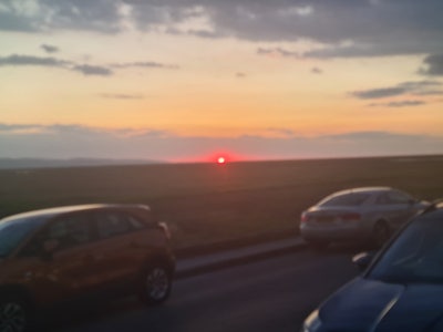 Looking for room house share or flat  Main Photo