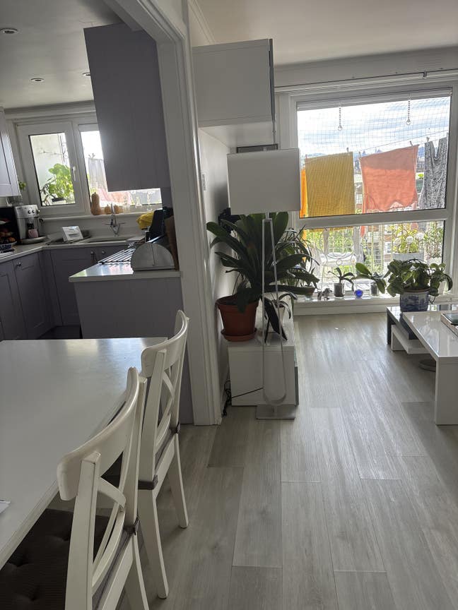 Clean room for rent Main Photo