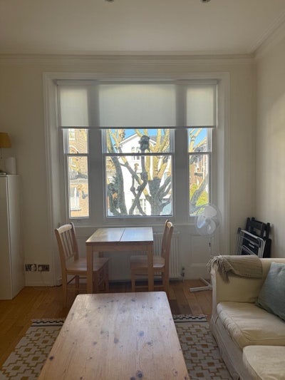 Gorgeous sun filled 1BHK in Maidavale  Main Photo