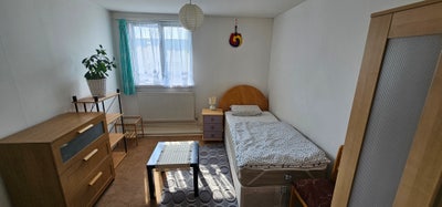 Comfortable Room in Friendly Home in TW7 Main Photo