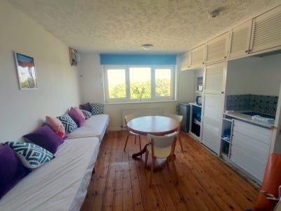 Double room in 3 bed flat with garden - inc bills Main Photo