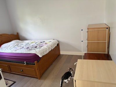 Double room to rent in oxford Main Photo