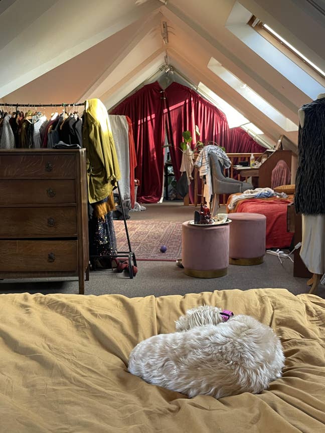 A Tiny Big Home | Victorian Coach House, Redland,  Main Photo