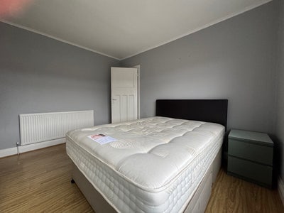 Clean tidy Lodger Wanted in Cosy Home Main Photo