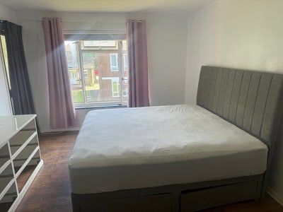 Spacious Double in Kingston!! Main Photo