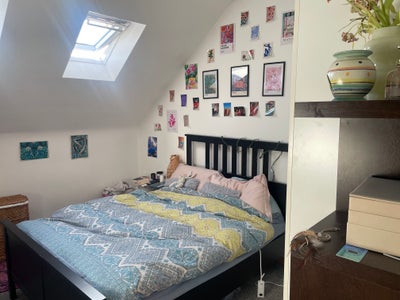 Room to rent in M20! Own bathroom included  Main Photo