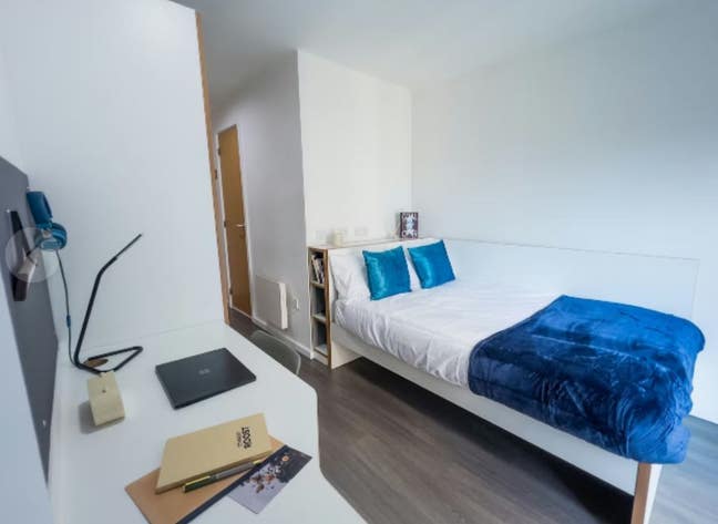 2 ensuite rooms at dobbies point -tenancy takeover Main Photo