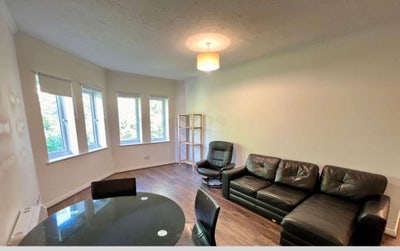 Spacious double bedroom in Oxford city center  Main Photo