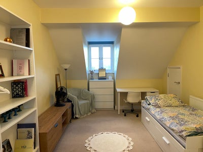 Spacious En-Suite Double Room in Headington  Main Photo
