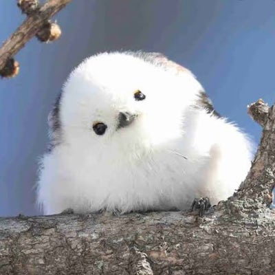 21 year old Female seeks a single or double room Main Photo