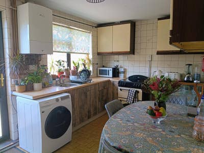 Clean & Safe, furnished D/R  & S/R to Rent Main Photo