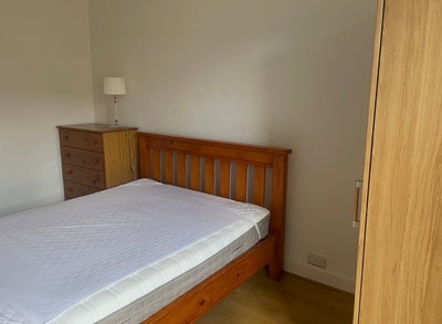 Double room in lovely 2 bed Marchmont Flat  Main Photo